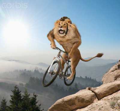 An extremely awkward stock photo of a lion