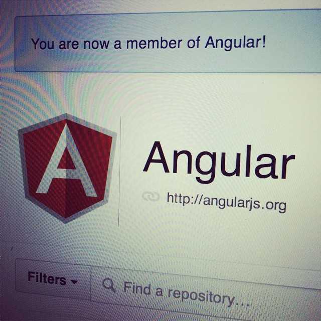 "You are now a member of Angular."